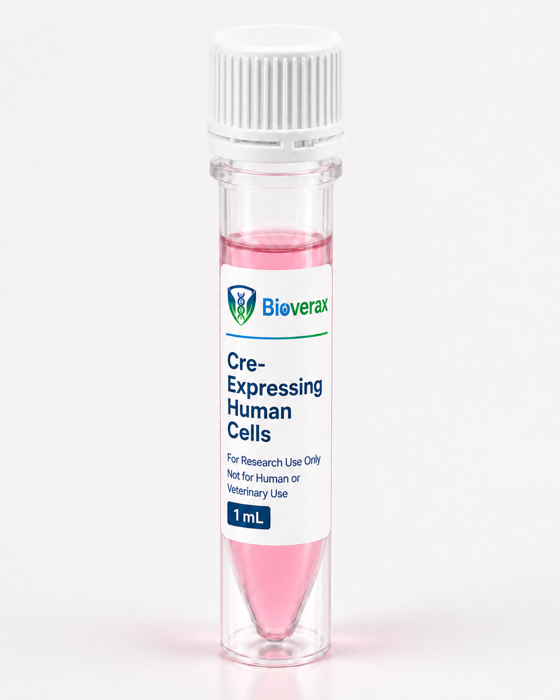 Cre-Expressing Human Primary Bladder Microvascular Endothelial Cells