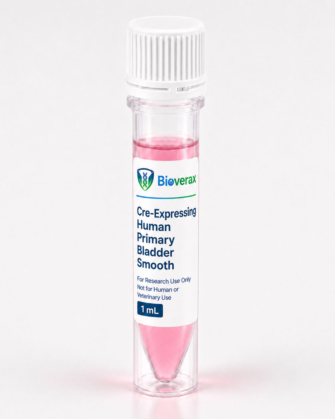 Cre-Expressing Human Primary Bladder Smooth Muscle Cells