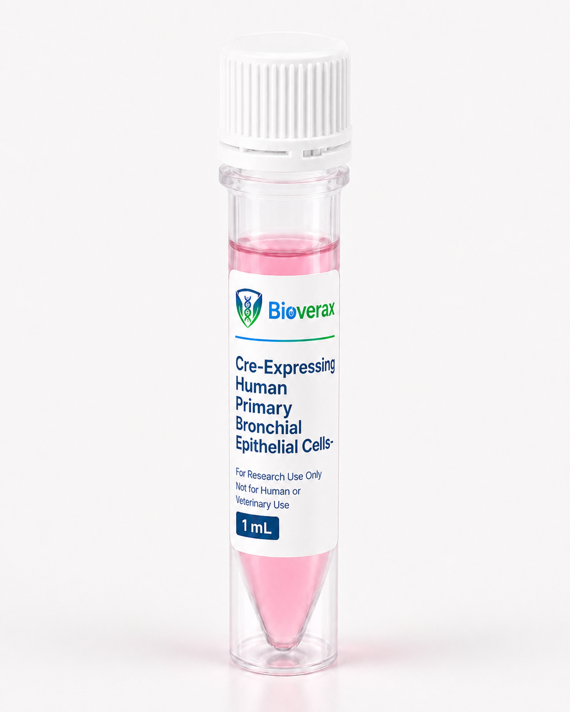 Cre-Expressing Human Primary Bronchial Epithelial Cells