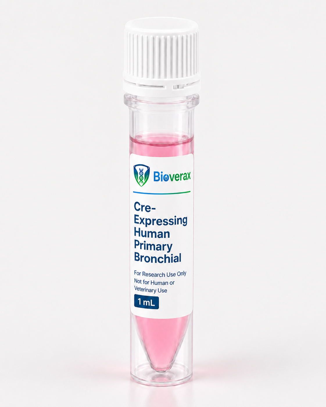 Cre-Expressing Human Primary Bronchial Fibroblasts